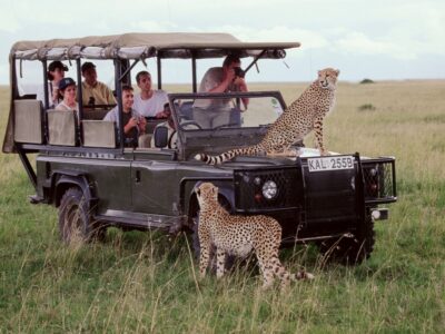 Kenya Safaris