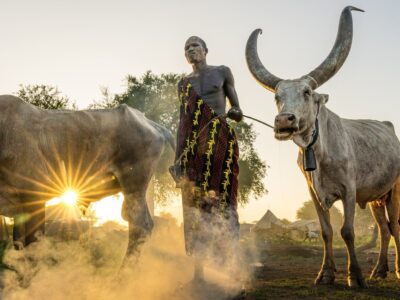 South Sudan Safaris