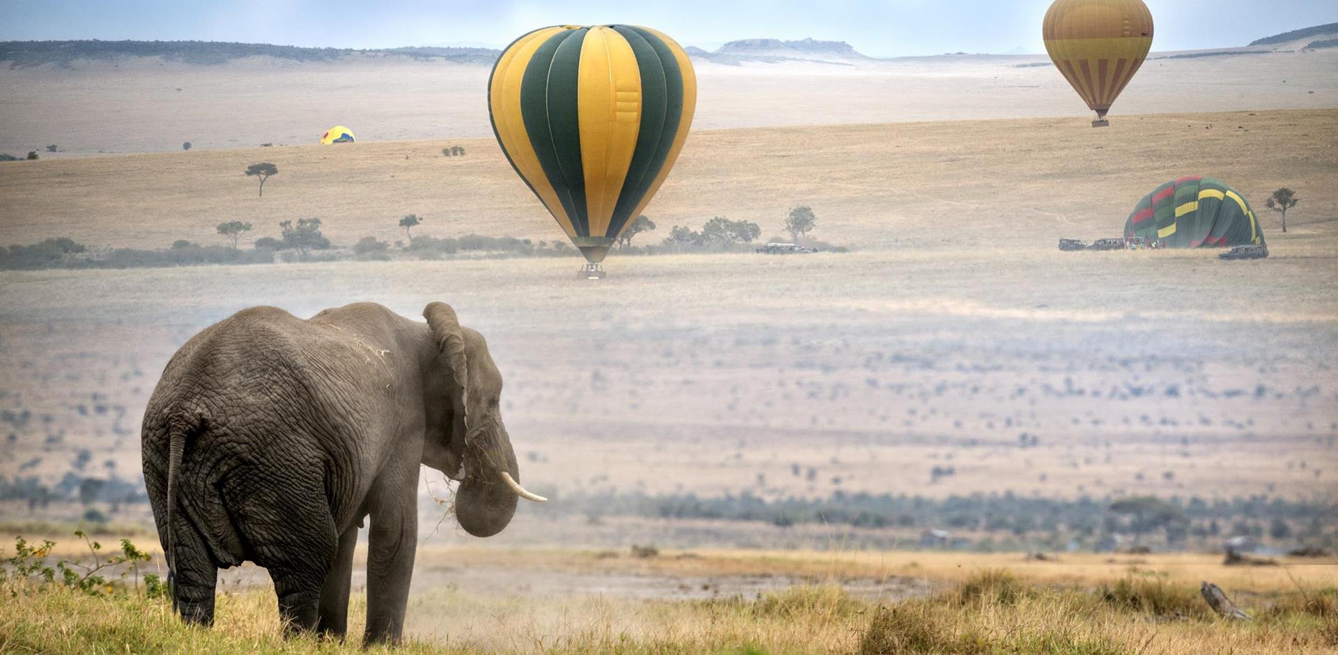 Hot Air Balloon Safaris